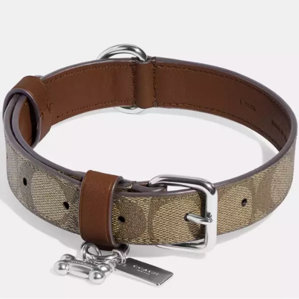 Coach small pet dog collar